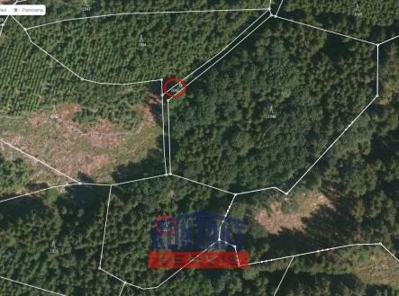 mapy | Prodej - pozemek, les, 4 325 m²