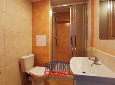 IMG_20220921_112159.jpg | Pronájem bytu, 1+kk, 21 m²