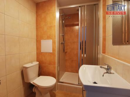 IMG_20220921_112159.jpg | Pronájem bytu, 1+kk, 21 m²