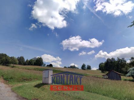 Snímek obrazovky 2026-02-01 v 19.54.50 | Prodej - pozemek, trvalý travní porost, 6 039 m²