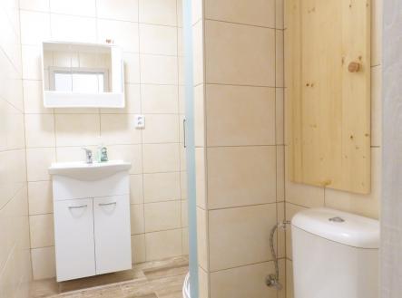 P1080663 | Pronájem bytu, 1+1, 44 m²