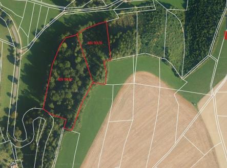 Přehledka_mapa | Prodej - pozemek, les, 15 596 m²