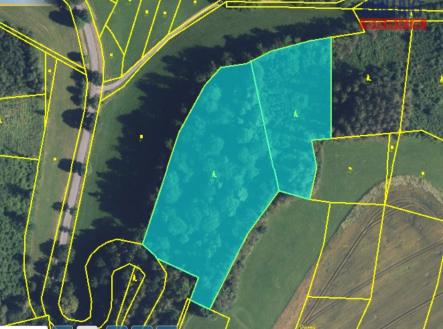 přehledka II. | Prodej - pozemek, les, 15 596 m²