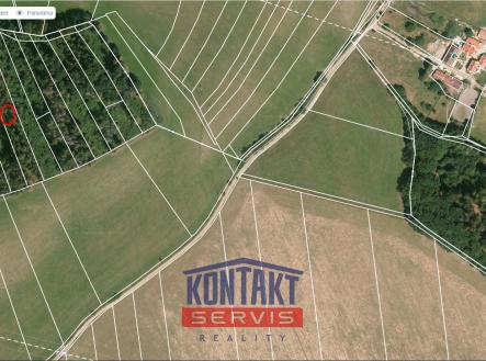sever mapy.cz | Prodej - pozemek, les, 12 818 m²