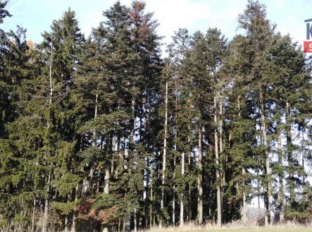 2 | Prodej - pozemek, les, 12 818 m²