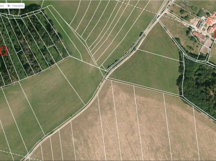 sever mapy.cz | Prodej - pozemek, les, 12 818 m²