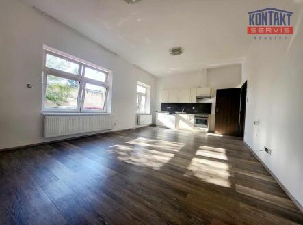 377916141_867594311449937_4391717416175735103_n.jpg | Pronájem bytu, 1+kk, 48 m²