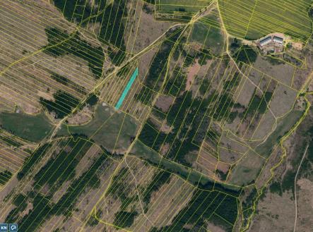 Detail I | Prodej - pozemek, les, 11 455 m²