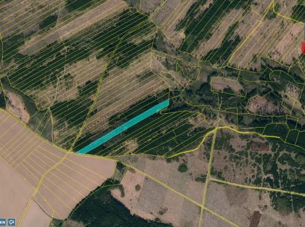 Detail II | Prodej - pozemek, les, 11 455 m²