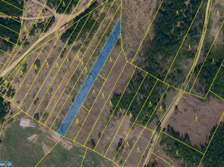 KN 4153 | Prodej - pozemek, les, 11 455 m²