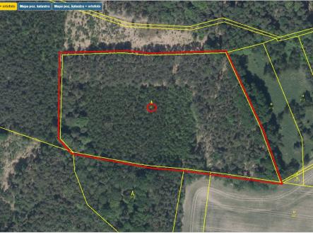 Přehledka sever II | Prodej - pozemek, les, 32 004 m²