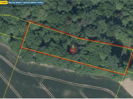 Přehledka východ II | Prodej - pozemek, les, 32 004 m²