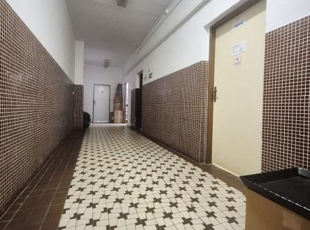 20260319_102904_resized | Pronájem - kanceláře, 225 m²