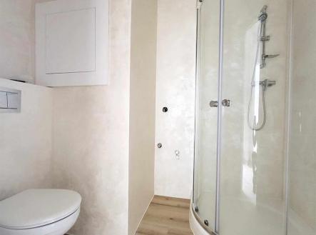 385404510_1273176660050788_4921142366267131270_n.jpg | Pronájem bytu, 1+1, 31 m²