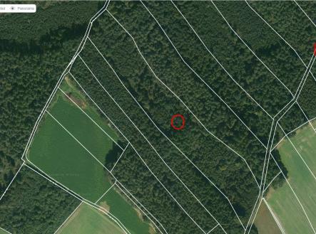 mapy | Prodej - pozemek, les, 18 846 m²