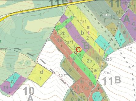 LHP | Prodej - pozemek, les, 18 846 m²