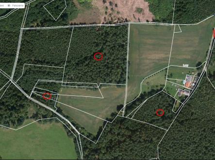 mapy | Prodej - pozemek, les, 23 269 m²
