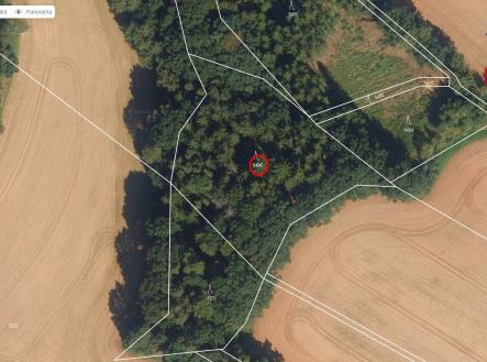 mapy | Prodej - pozemek, les, 5 546 m²