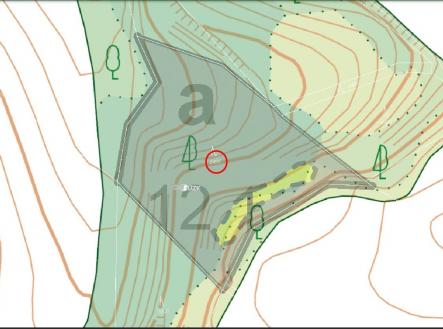 LHP | Prodej - pozemek, les, 5 546 m²