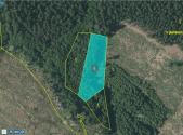 Prodej - pozemek, les, 3 382 m²