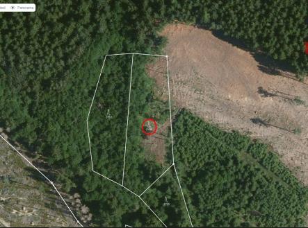 mapy | Prodej - pozemek, les, 3 382 m²