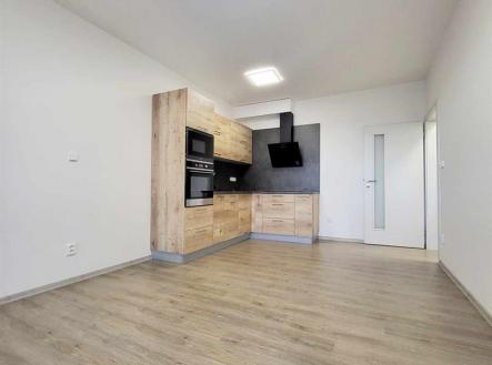 418761694_1118750809577440_238078080379526227_n.jpg | Pronájem bytu, 2+kk, 55 m²