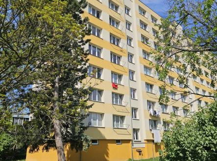 20260504_110546 | Pronájem bytu, 1+1, 41 m²