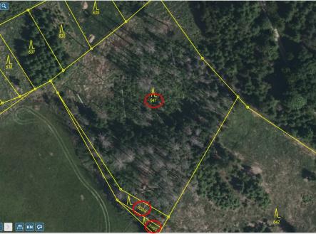 Přehledka zoom II | Prodej - pozemek, les, 5 303 m²