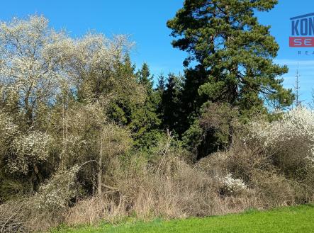 IMG_20260422_102450611 | Prodej - pozemek, les, 32 753 m²