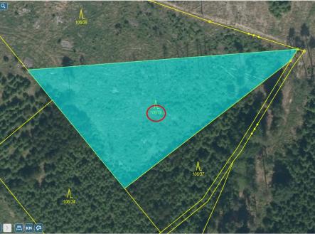 Prodej - pozemek, les, 3 892 m²