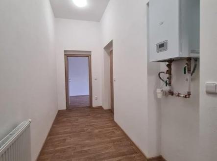 240738939_391554459197802_4280508626745222909_n.jpg | Pronájem bytu, 2+kk, 45 m²