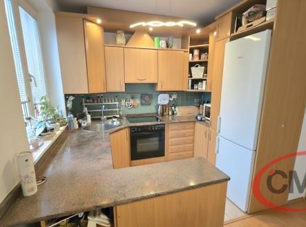 1767893980525-1.jpg | Pronájem bytu, 3+kk, 203 m²