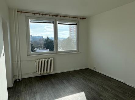 28.jpg | Pronájem bytu, 1+1, 30 m²