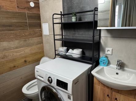 13.jpg | Pronájem bytu, 1+kk, 14 m²