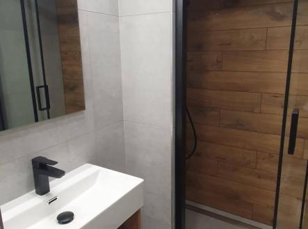 Pronájem bytu, 2+1, 55 m²