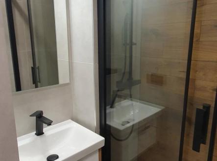 Pronájem bytu, 2+1, 54 m² obrázek