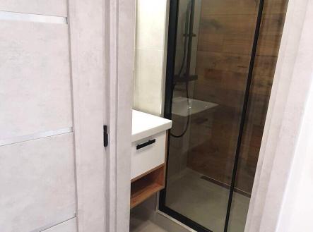 Pronájem bytu, 2+1, 54 m²