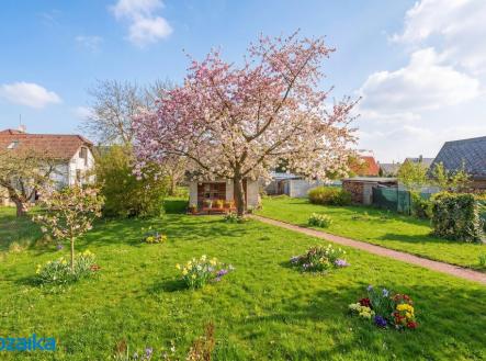 jaro-zahrada.jpg | Prodej - dům/vila, 277 m²