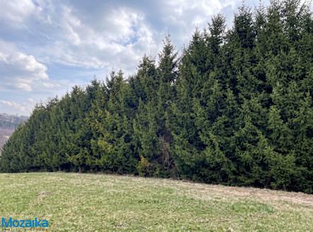 les-hermanice.jpg | Prodej - pozemek, les, 51 563 m²
