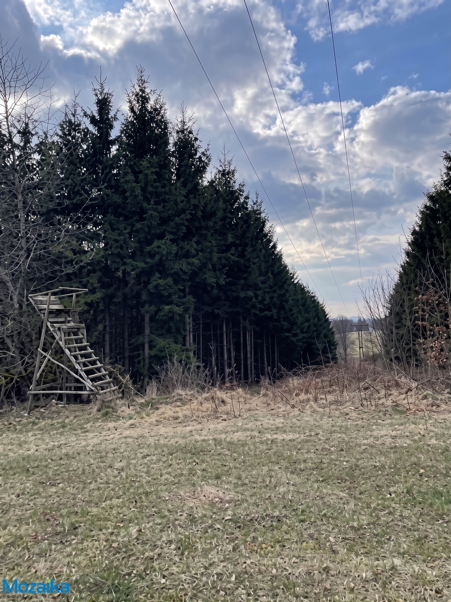 hermanice-les-1.jpg