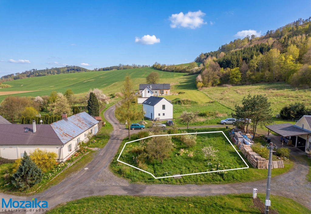 upraveno-lin.jpg