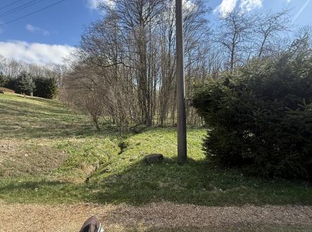 img-7147.jpg | Prodej - pozemek, les, 1 892 m²