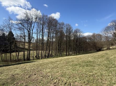 img-7146.jpg | Prodej - pozemek, les, 1 892 m²