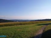 Prodej - pozemek, trvalý travní porost, 867 m²