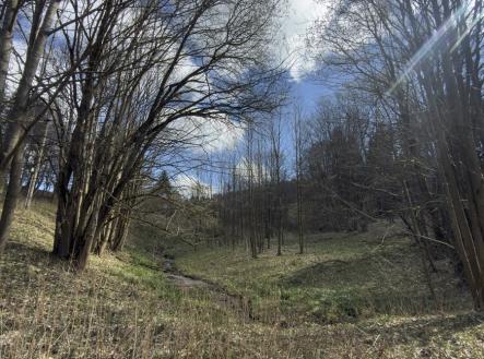 soubor-valterice.jpeg | Prodej - pozemek, trvalý travní porost, 9 974 m²