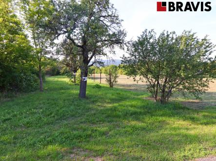 1 | Prodej - pozemek, zahrada, 772 m²