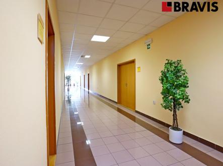 8 | Pronájem - kanceláře, 54 m²