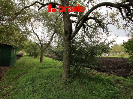 Prodej - pozemek, zahrada, 704 m² obrázek