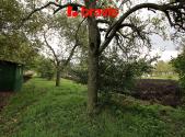 Prodej - pozemek, zahrada, 704 m²