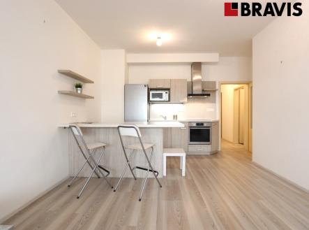 IMG_7687 | Pronájem bytu, 1+kk, 44 m²